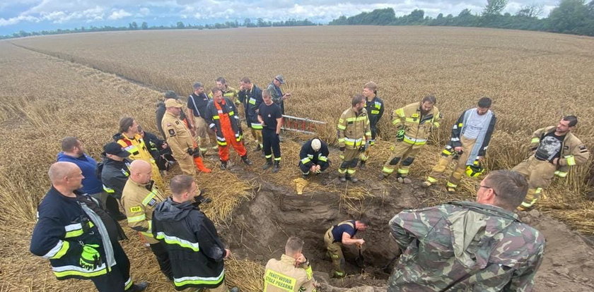 Psy utknęły pod ziemią. Strażacy dokopywali się do nich sześć godzin! Niezwykła akcja ratownicza