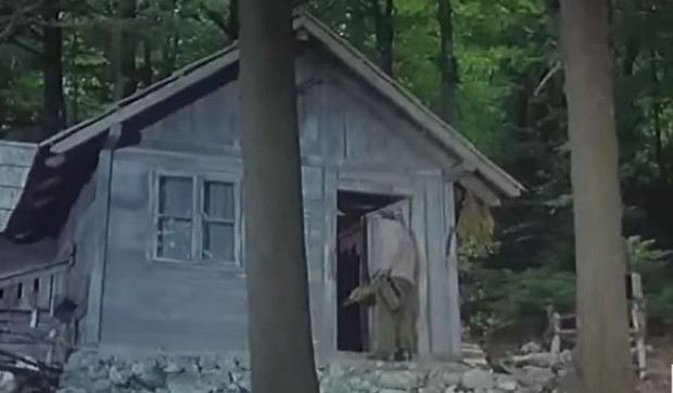 Ptice koje ne polete