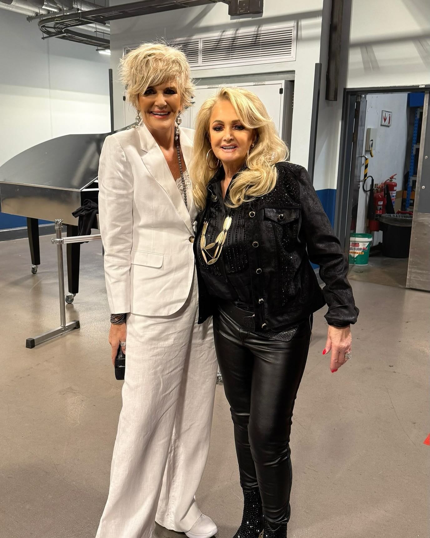 Speváčka Bonnie Tyler.
