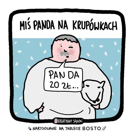 miś z krupówek