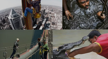 Crocodile dentist, snake milker and 9 other terrifying jobs people do