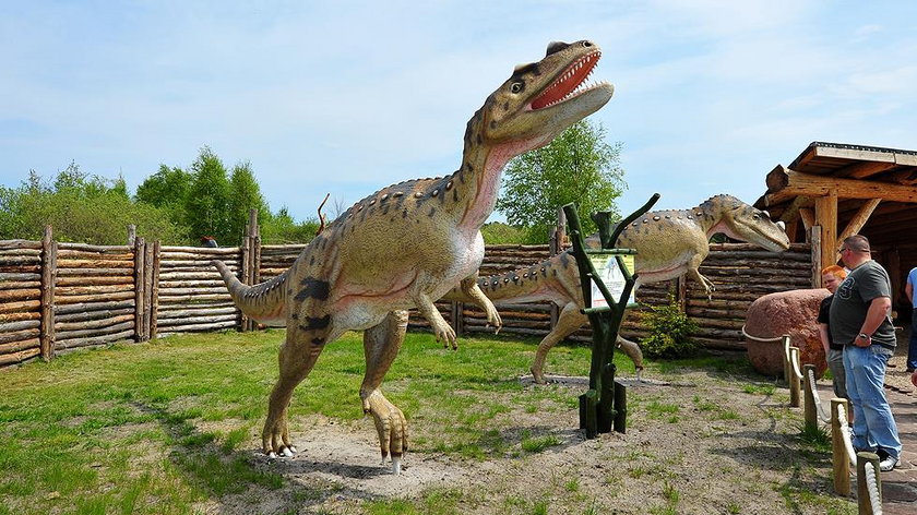 Dinozaury w Łeba Parku