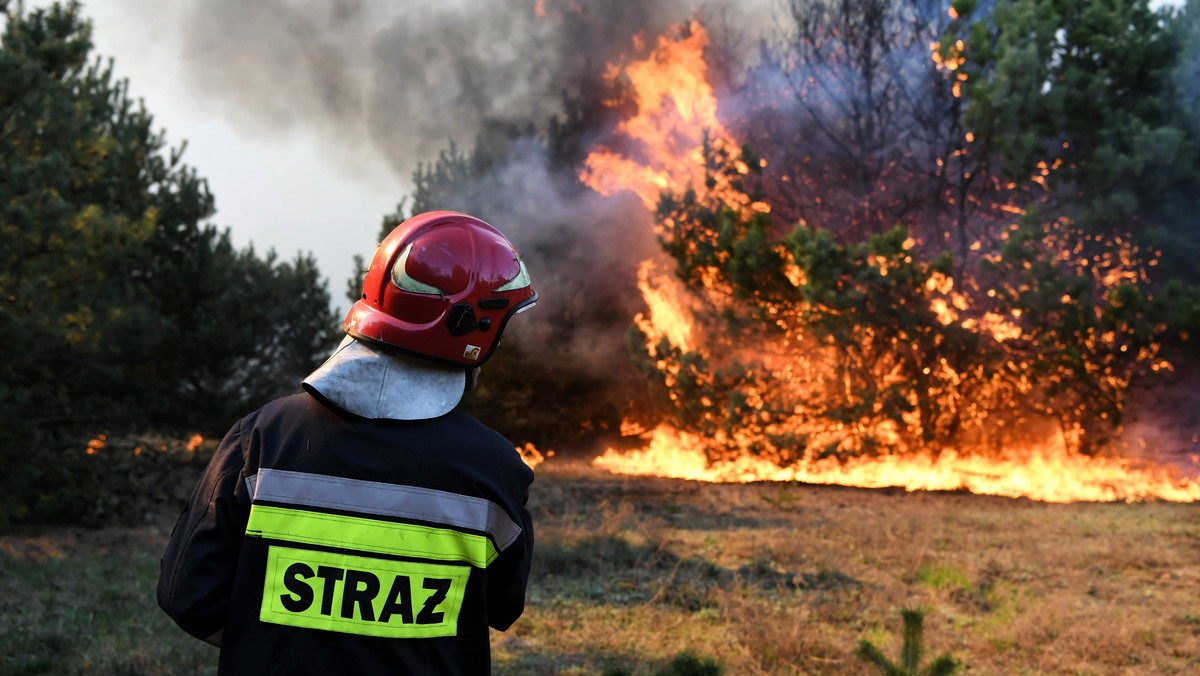 Do 49 pożarów doszło już od początku roku w lasach województwa zachodniopomorskiego - podała dzisiaj Regionalna Dyrekcja Lasów Państwowych w Szczecinie. Leśnicy apelują o ostrożność i przypominają, że prognozowane wysokie temperatury potęgują zagrożenie.
