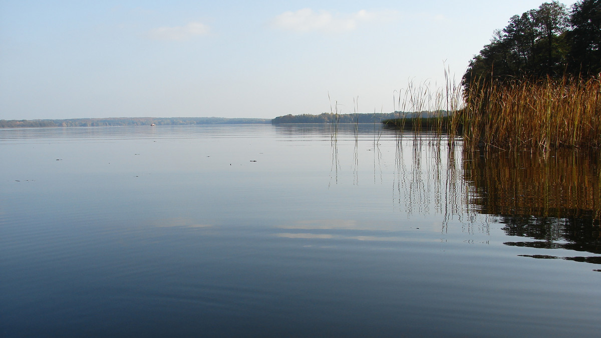 W ciągu kilkudziesięciu lat Erich Köhler poznał wielu śmiałków, penetrujących brandenburskie jezioro Stolpsee. Niedawno niemiecki konserwator udzielił zgody izraelskiej ekipie na poszukiwanie złota zrabowanego przez Hermana Göringa. Według ekspertów profesjonalna ekspedycja ma największe szanse na odnalezienie legendarnego skarbu nazistów.