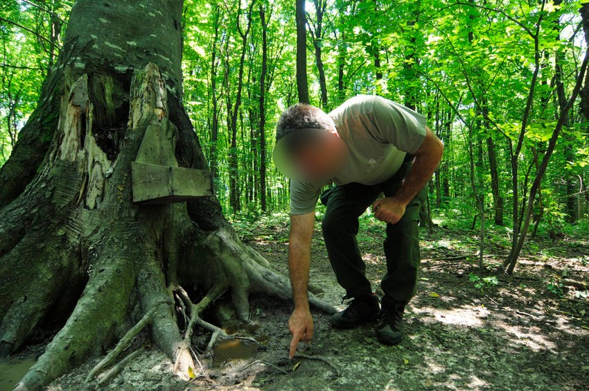 Skupljanje tartufa po Fruškoj gori