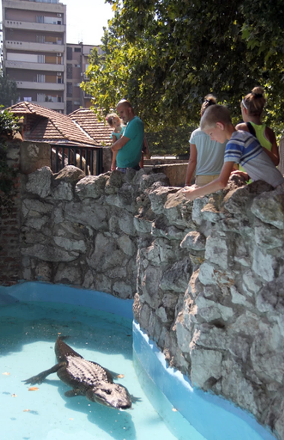 Omiljen među posetiocima Zoo vrta