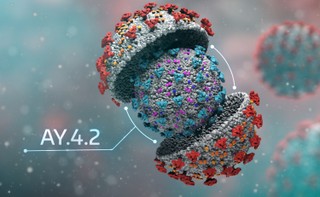 Zidentyfikowano nowy wariant SARS-CoV-2 z wysokim potencjałem mutacji. Może wywołać kolejną epidemię
