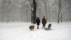 Polska w obliczu ataku zimy! Ostrzeżenie przed intensywnymi opadami śniegu i oblodzeniem. Gdzie spadnie ponad 20 cm śniegu?