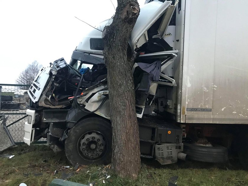 Cudem uniknął śmierci. Zdjęcia przerażają