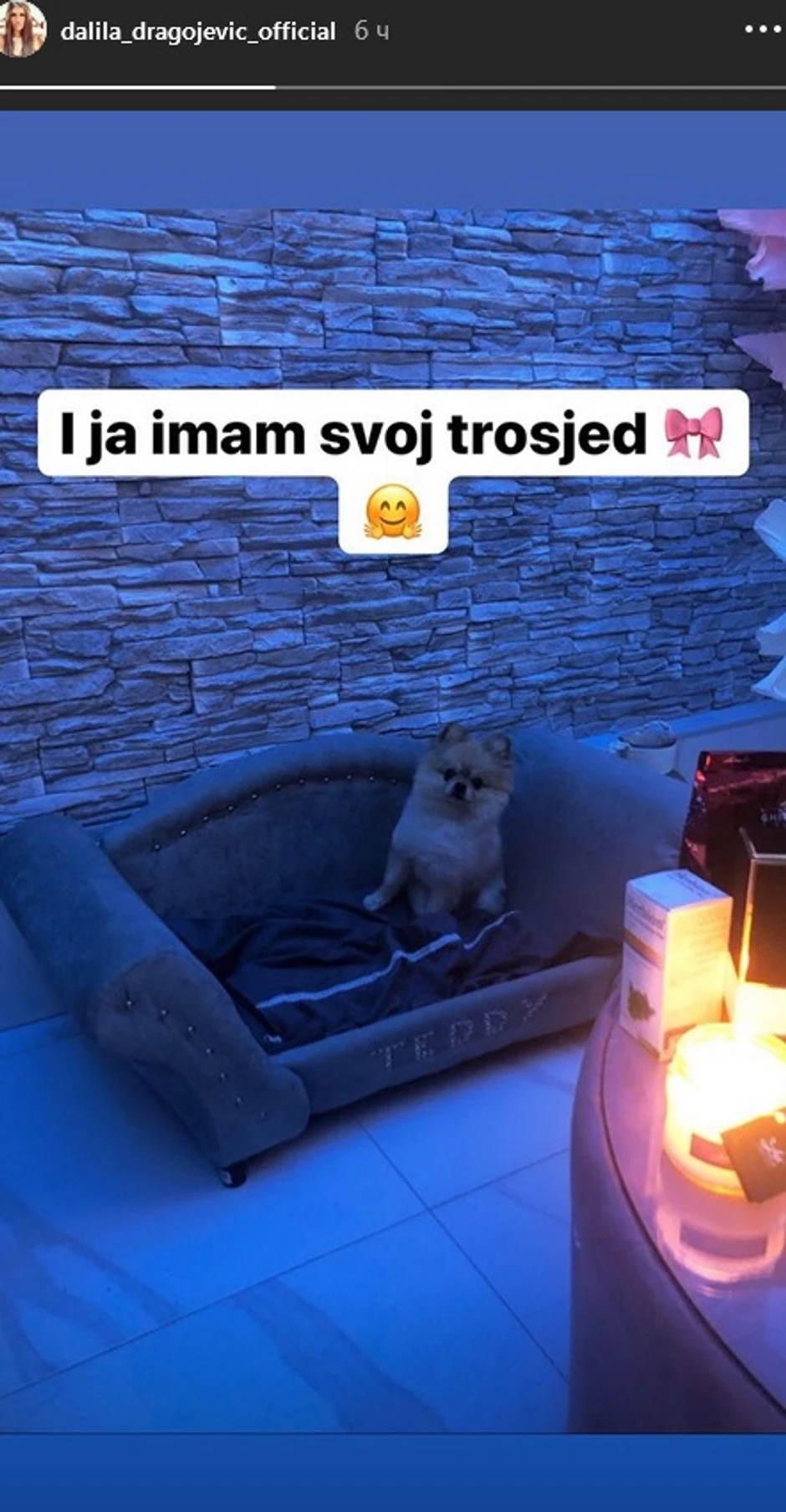 Dalila Dragojević kupila psu trosed