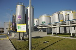 ZAK Grupa Azoty zaprzecza, jakoby miała związek ze śnięciem ryb w Odrze