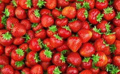 Uważaj na ten owoc. GIS wydał ostrzeżenie