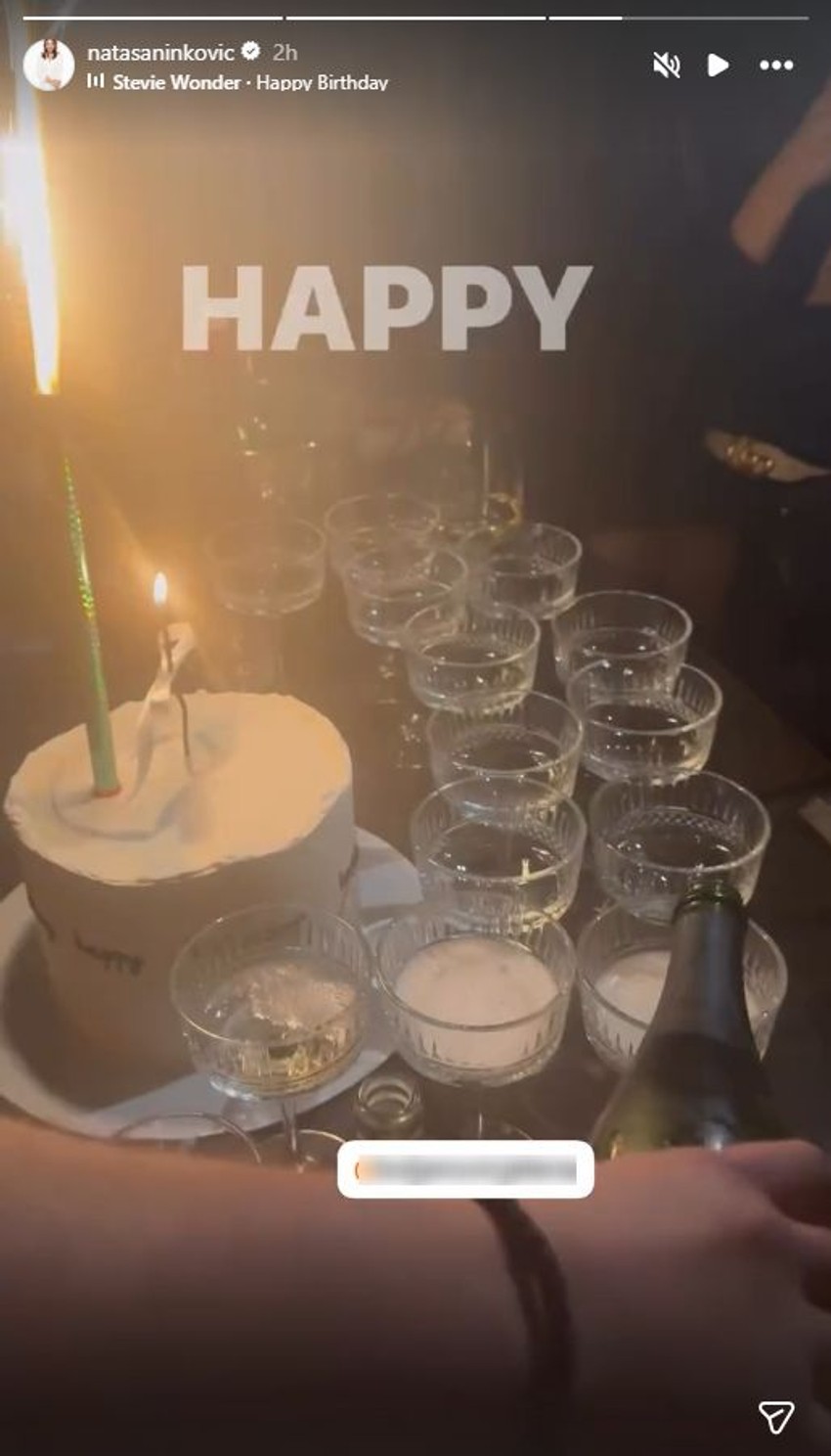 Nataša Ninković, objava