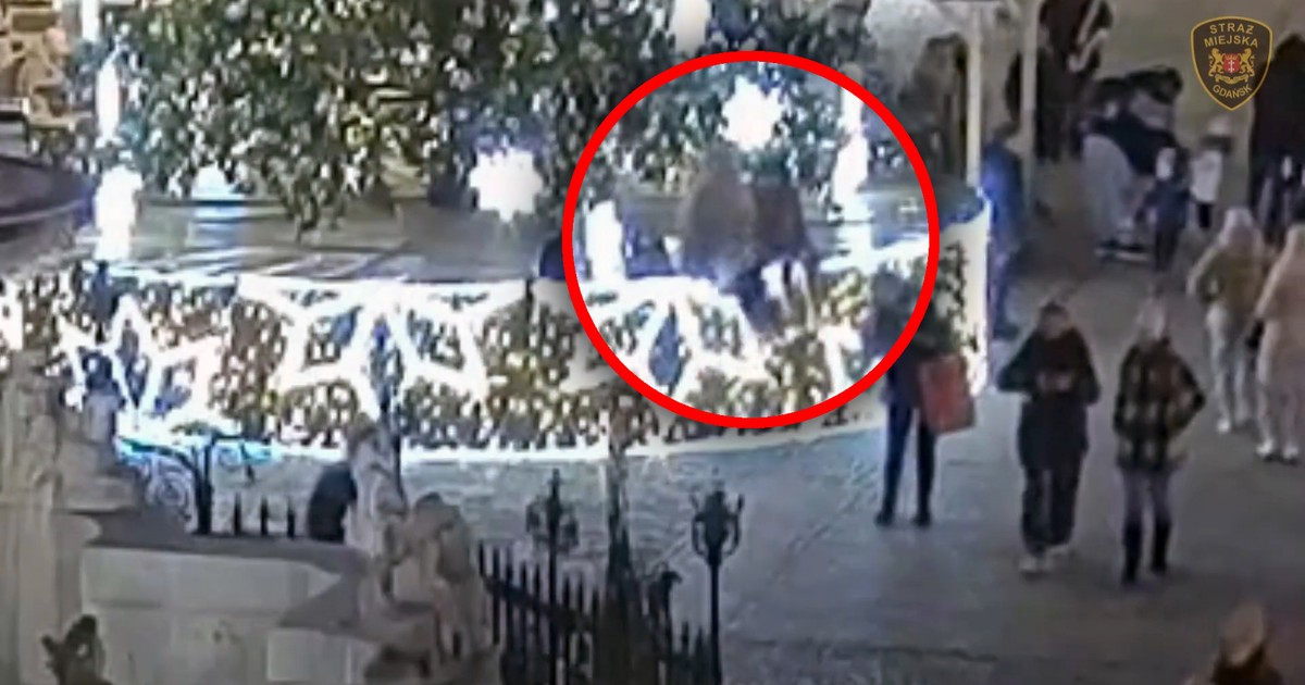 Zignorowały ostrzeżenia. Kamera nagrała grozę pod gdańską choinką