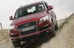 Audi Q7 I (2005-15, od 50 000 zł) - prezentacja modelu