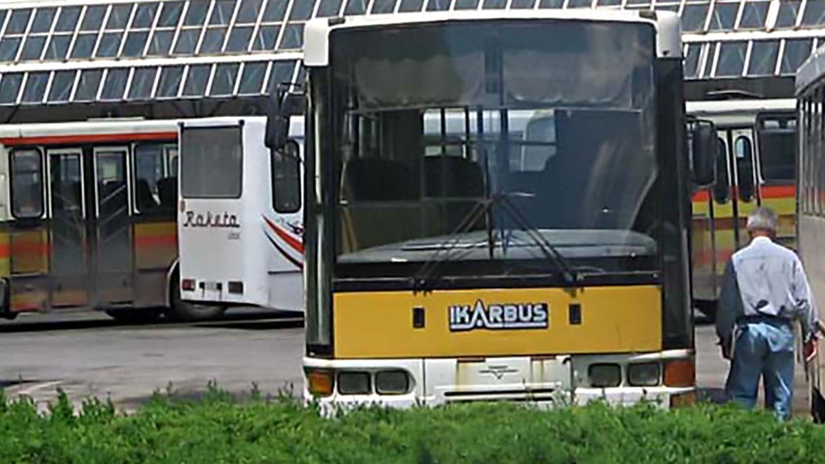 Autobus