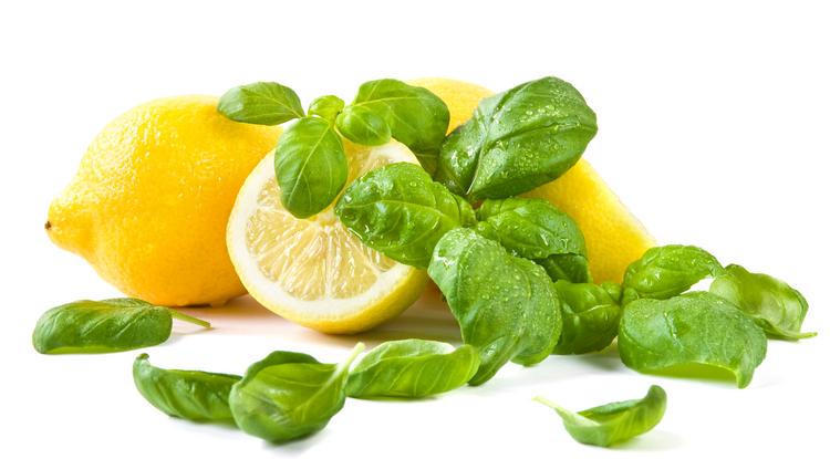 A citrom és a bazsalikom is hatásos a legyek ellen Fotó: Getty Images
