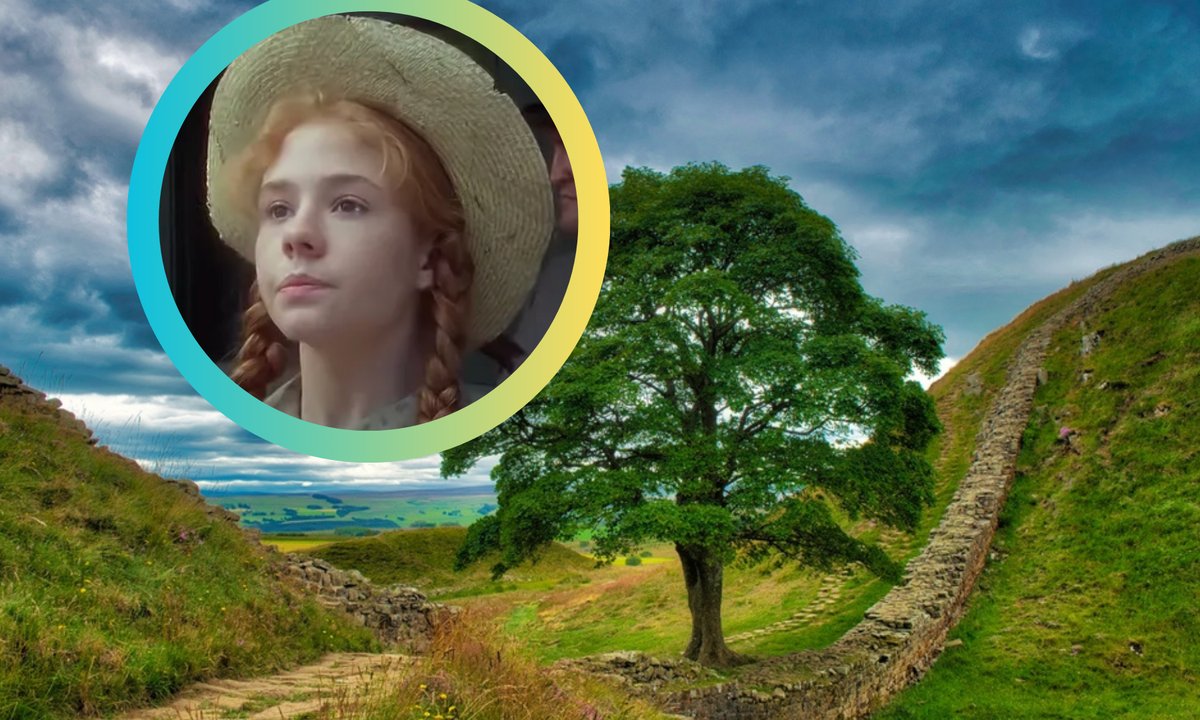 40 lat temu zagrała "Anię z Zielonego Wzgórza". Tak zmieniła się Megan Follows