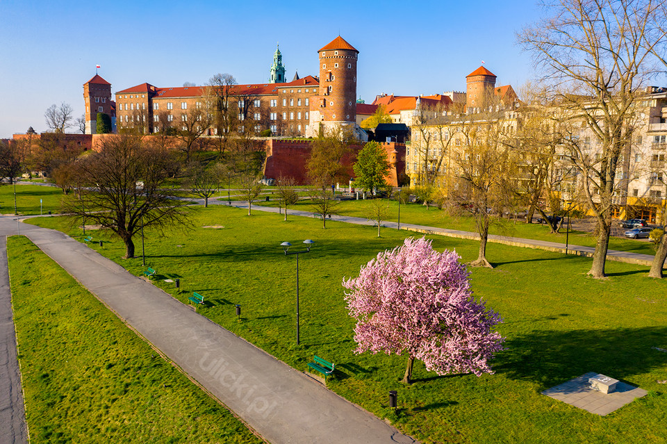 Wiosna jak z bajki w Krakowie. Widok na Wawel