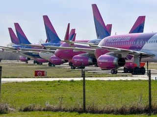 - Wizz Air spodziewa się stopniowego wzrostu popytu wraz z powrotem podróży biznesowych i turystycznych. Obecnie działamy na poziomie 10 proc. przepustowości i przewidujemy wzrost do 70 proc. w ciągu najbliższych trzech miesięcy - informuje przewoźnik.