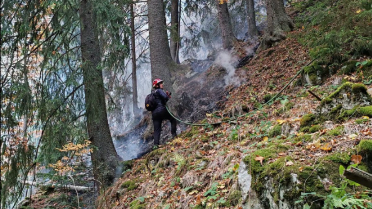 Incendiu de vegetație în Parcul Național Retezat Pompierii se luptă de două săptămâni cu focul din zona Cheile Buţii