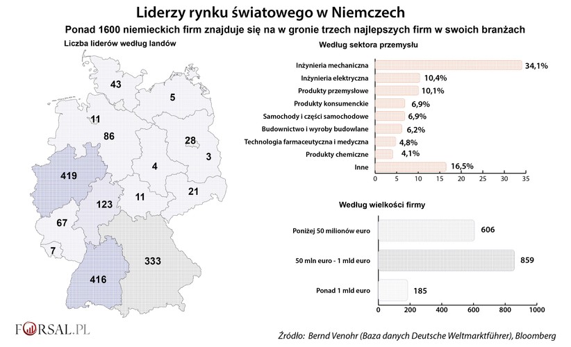 Kręgosłupem niemieckiej gospodarki są legendarne średnie firmy, czyli 3 miliony małych i średnich przedsiębiorstw, większość z nich to firmy rodzinne. Zatrudniają one ok. 61 proc. wszystkich pracowników i odpowiadają za ok. połowę całego PKB. W 2015 roku wyeksportowały towary i usługi warte 206 mld euro (246 mld dol.). <br><br>

Tak rozumiane średnie przedsiębiorstwa, wraz z firmami, których zarobki nie przekraczają miliarda euro rocznie, reprezentują co najmniej 1465 z 1650 niemieckich firm zaliczonych do światowych liderów w swoich dziedzinach. Klasyfikację taką sporządził prof. Bernd Venohr, były pracownik naukowy, który zajął się cunsultingiem w zakresie zarządzania. Z grupą badaczy przez 15 lat stworzył i aktualizował bazę danych niemieckich firm, które znajdują się wśród 3 najlepszych na świecie w swoich niszach. Firmy te, w dużej mierze zlokalizowane na terenie niemieckiego hubu eksportowego na południu kraju oraz wzdłuż Renu, dały w ubiegłym roku łączny dochód wysokości 2,2 bln euro i zatrudniały 8,6 mln osób na świecie.