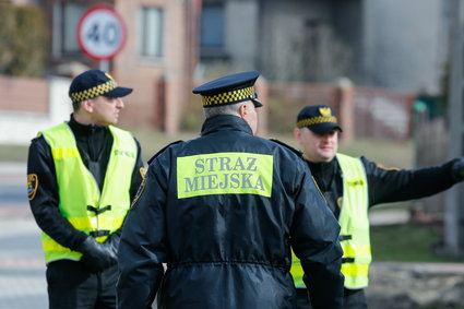 Płyty wiórowe, stare kable i patyki z lasu. Straż miejska kontroluje piece Polaków