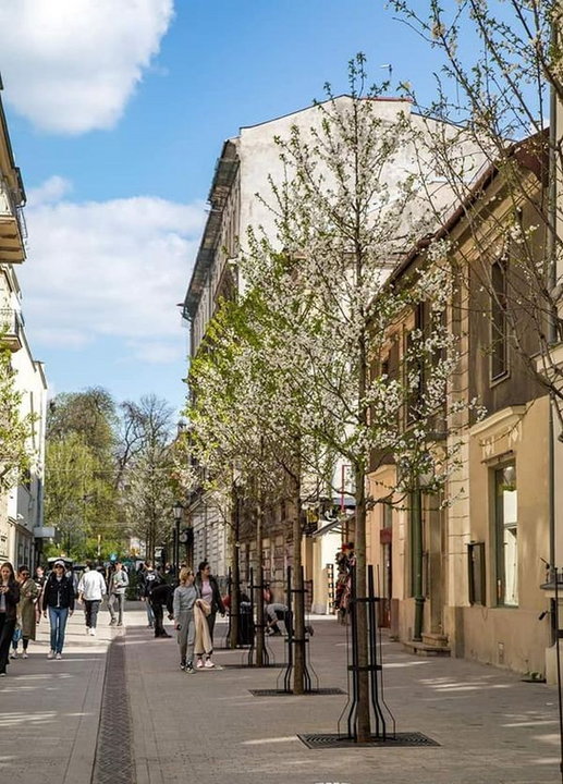 Ulica Krupnicza w Krakowie po modernizacji