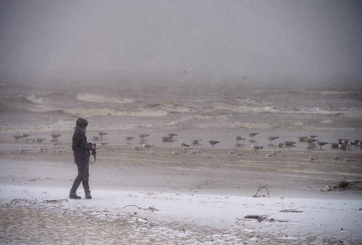 Spacerowicz na plaży przy molo w Sopocie