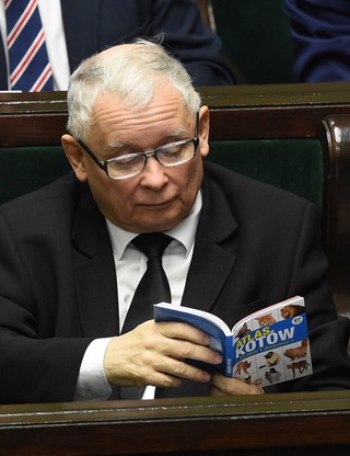 Kaczyński czyta w sejmie książkę o kotach. Rzeczniczka PiS: Niech ta lektura zachęca do wsparcia schronisk