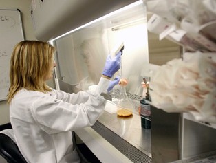 Ministerstwo Zdrowia ogłosiło konkurs na polską fabrykę osocza