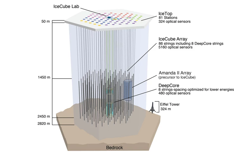 IceCube Neutrino Observatory - schemat podziemnych instrumentów
