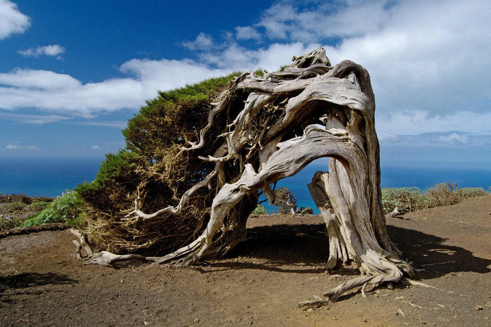 El Hierro, Wyspy Kanaryjskie