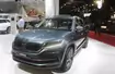 Skoda Kodiaq (Targi Paryż 2016)