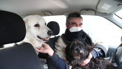 A budai villa után a Fény utcai piacnál parkoló kocsiban él két kutyájával László: naponta el akarják venni tőle az állatokat, nem tudják az igazságot