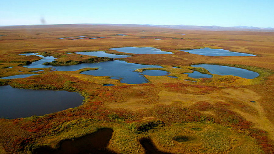 Pradawne wirusy po „wskrzeszeniu” nadal mogą infekować, fot. Bering Land Bridge National Preserve, CC BY 2.0, via Wikimedia Commons