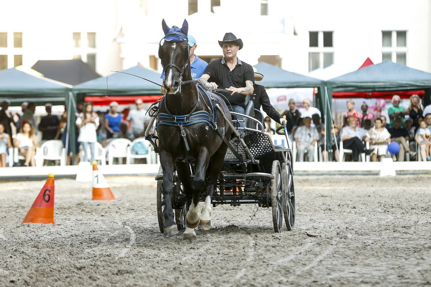 XXII Jeździeckie Mistrzostwa Gwiazd - Art Cup w Zakrzowie