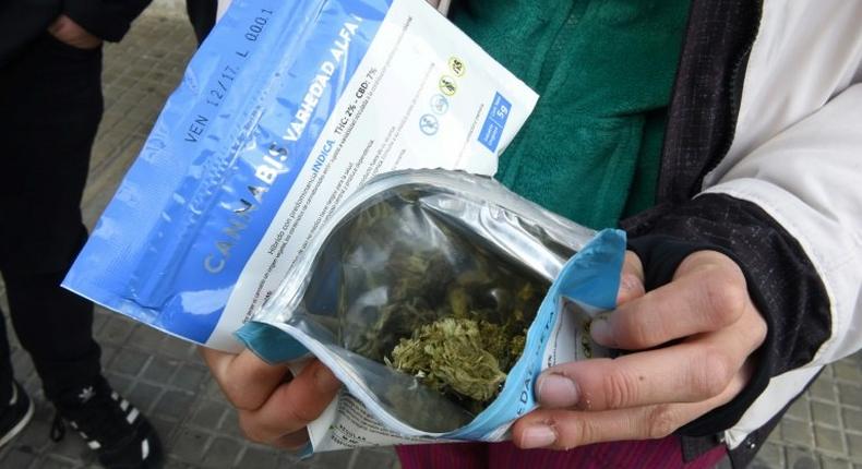 A man shows two envelopes containing marijuana he just purchased at a pharmacy in Montevideo, on July 19, 2017