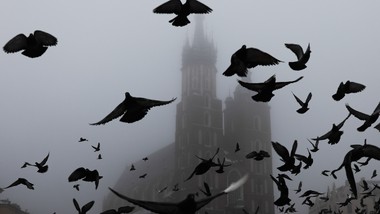 alert rcb dla czterech województw. ostrzegają przed wychodzeniem z dom