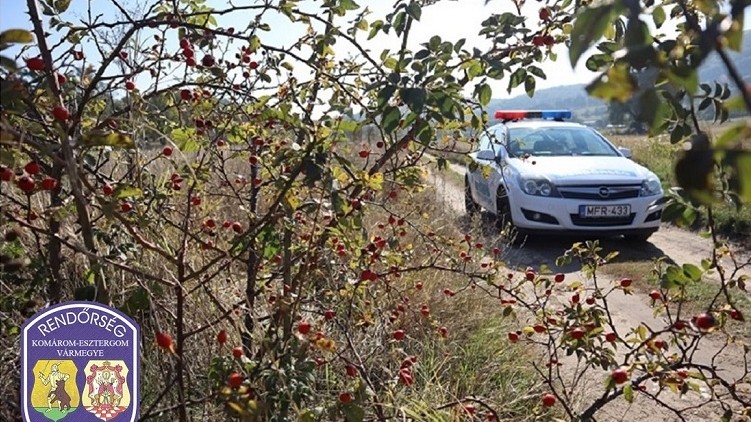 Új hírek érkeztek az Esztergomnál történt halálos ralibaleset kapcsán: ez vár a tragédiát okozó sofőrre