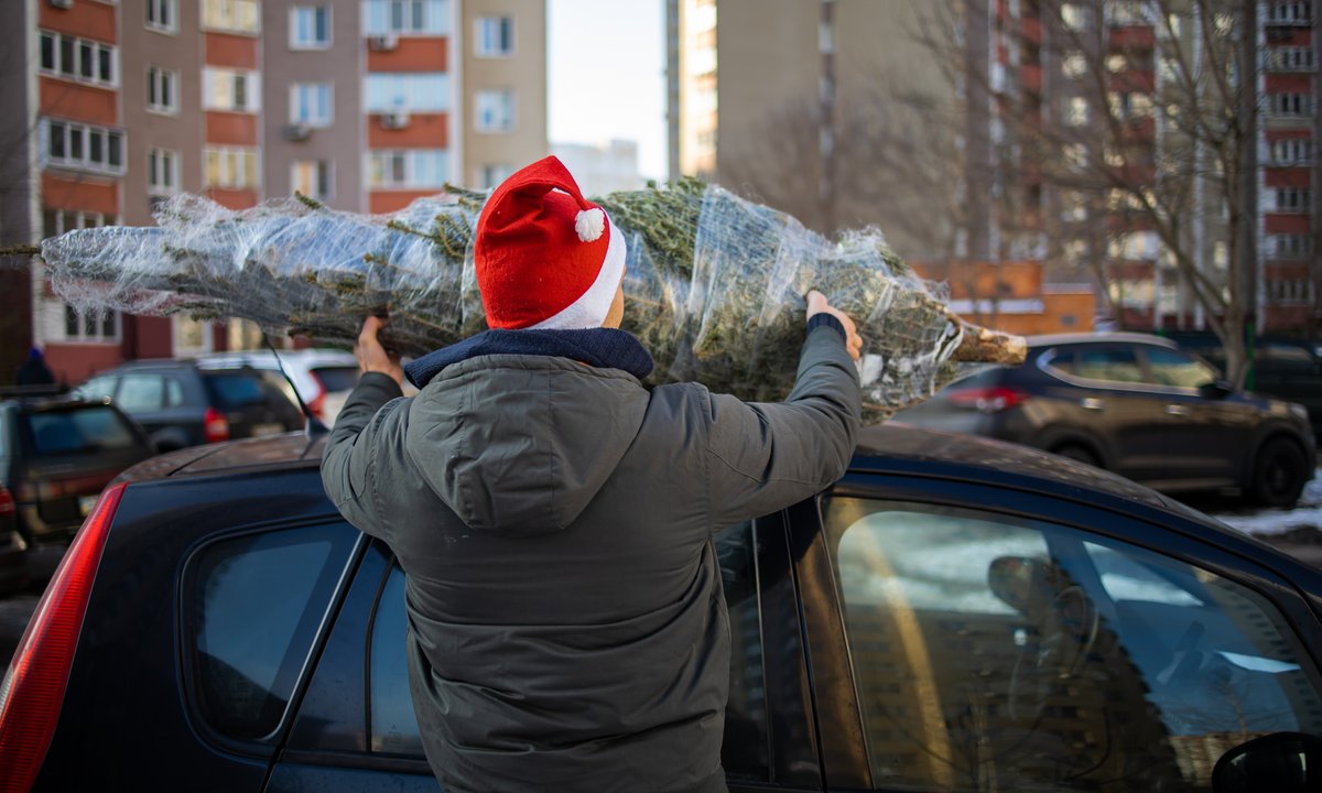 Ubierz tego dnia choinkę, a przyciągniesz szczęście i pieniądze w 2026 r. Ekspertka wskazała dzień
