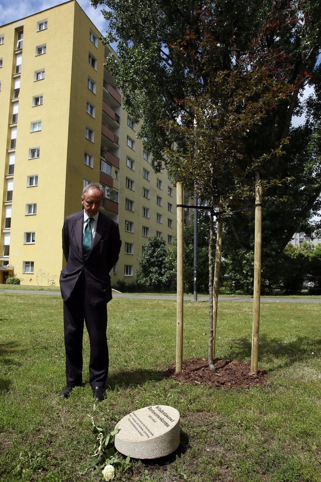 Uroczystość odsłonięcia poświęconych pamiątkowych kamieni