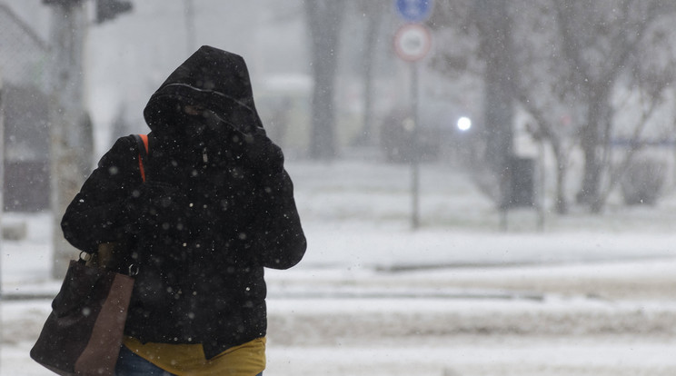 Gyalogos hóviharban Nyíregyházán, a Sóstói úton /MTI/Balázs Attila