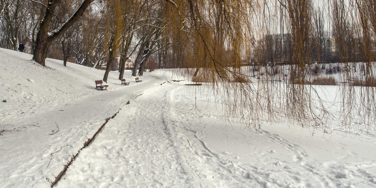 Napaść w parku