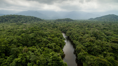 W rejonach Amazonii uważanych wcześniej za niezamieszkane mogło żyć nawet milion ludzi