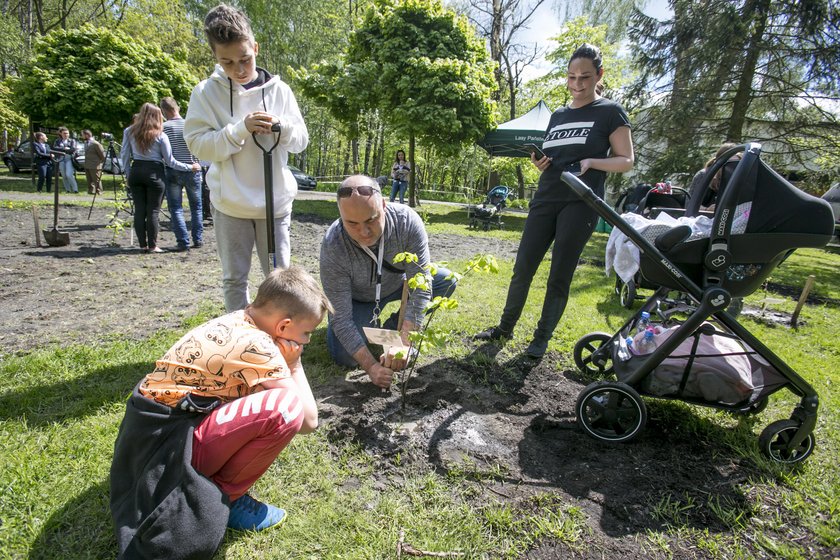 Katowice. Akcja Lasów Państwowych „Jedno dziecko, jedno drzewo”