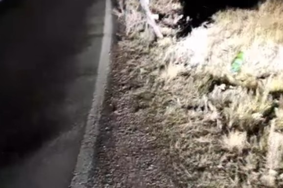 (VIDEO) NJEN POGLED JE GOVORIO VIŠE OD REČI! Vladimir će zauvek pamtiti neobičan SUSRET U MRAKU na putu od Priboja do Prijepolja