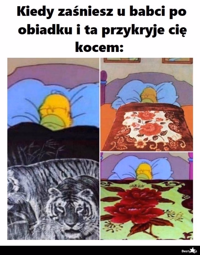 https://ocdn.eu/pulscms-transforms/1/8Ukk9kpTURBXy80MTFlMTdhYmQ4ZmQ3MjE0YmNmZjAyZmQyMWY5N2U5YS5qcGeSlQLNA8AAwsOVAgDNA8DCw94AAaEwBg
