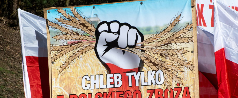 Agroholdingi oligarchów. Z kim mierzą się polscy rolnicy?
