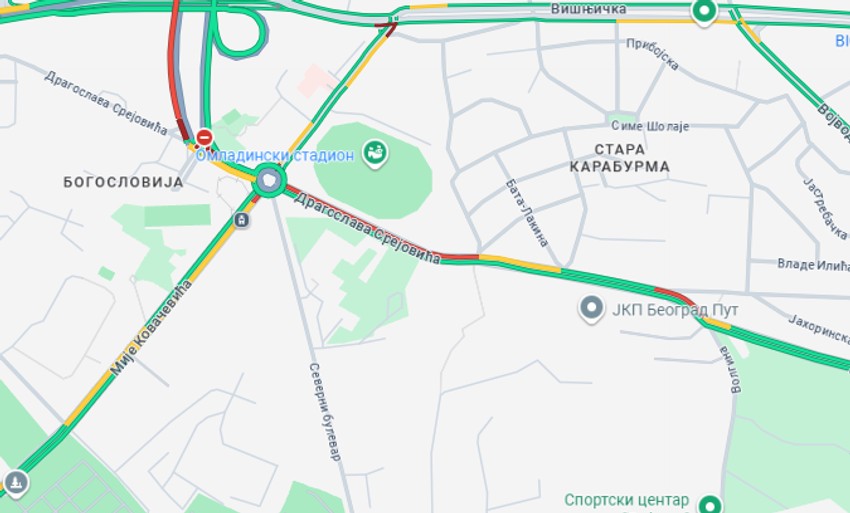 Dragoslava Srejovića i Bogosolovija